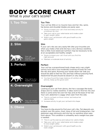 Go! Solutions cat body score chart