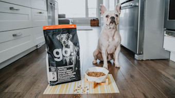 French Bulldog sitting beside bowl of Go! Solutions Sensitivities kibble