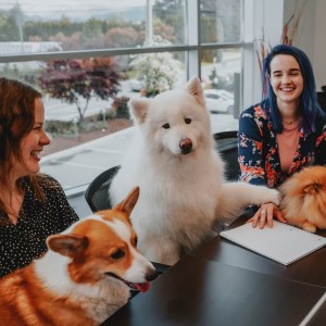 Two women with dogs at boardroom table