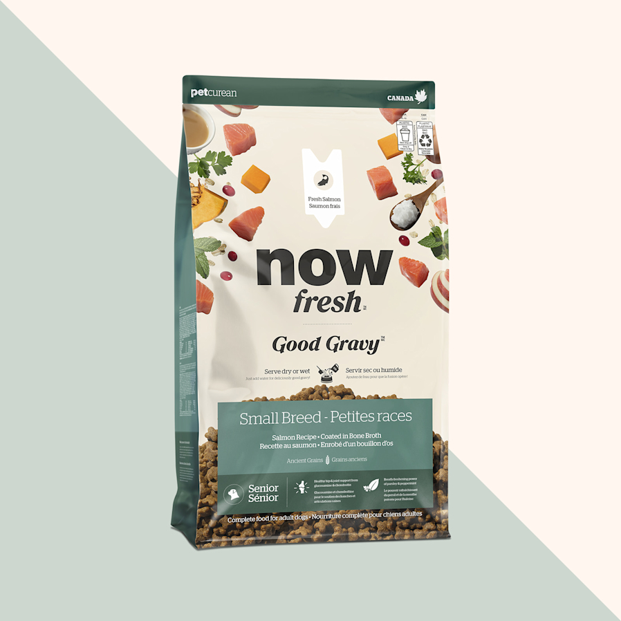 Now Fresh Good Gravy Salmon Recipe dry food for small breed senior dogs
