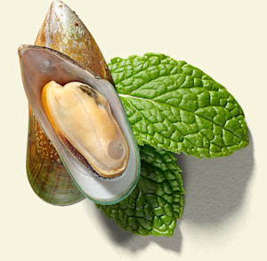 Mussels and mint leaves