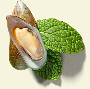 Mussels and herbs