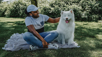 Pet parent and white Samoyed dog sitting on a picnic blanket under a tree