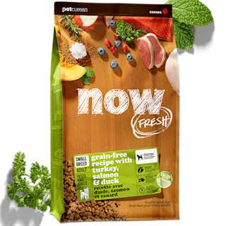 NF - Promo - small breed with ingredients