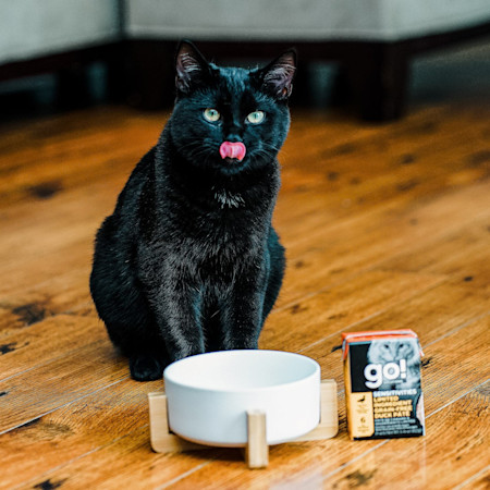 Black cat eating GO! SOLUTIONS SENSITIVITIES Limited Ingredient Grain-Free Duck Pâté