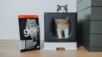 Cat in litterbox beside bag of Go! Hairball Control + Urinary Care cat food