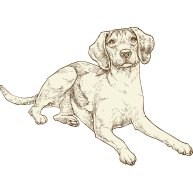 Senior dog illustration