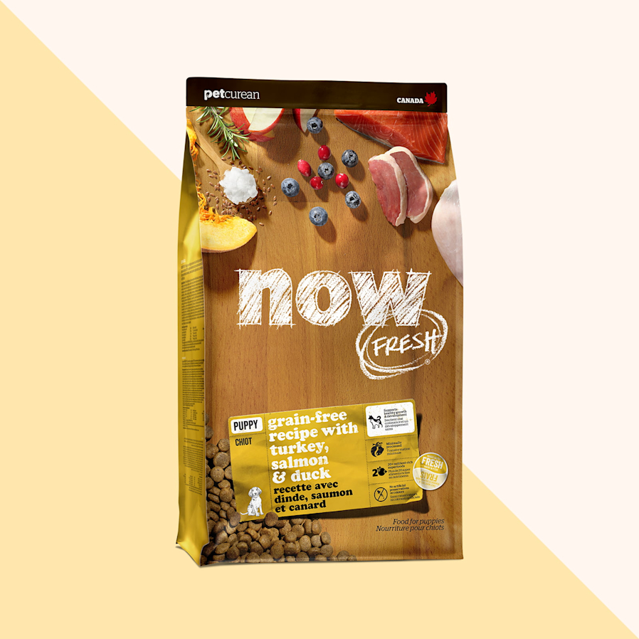 Now Fresh Grain-Free Recipe with Turkey, Salmon & Duck dry food for puppies