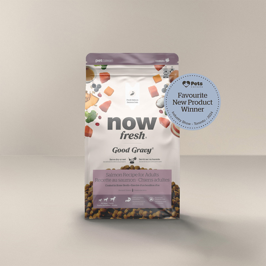 Now Fresh Good Gravy Salmon Recipe for dogs, Pets Canada Favourite New Product Winner