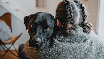 Black Lab being hugged looking over owner's shoulder