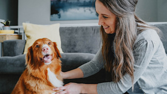 Nova Scotia Duck Tolling Retriever dog smiling in living room beside pet parent