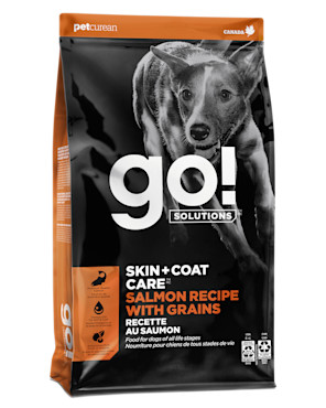 Go! Solutions Skin + Coat Care Salmon with Grains dry dog food