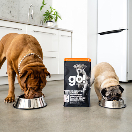GS Dogs SmallBites Feeding 0620