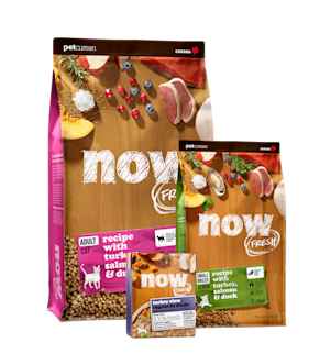 NOW-FRESH-3-US-Products-together-Small-Breed-Senior-for-Dogs-Adult-Cat-Recipe-and-Turkey-Stew