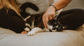 NF - Blog - NF_Cat_Owner_Cuddling_0821