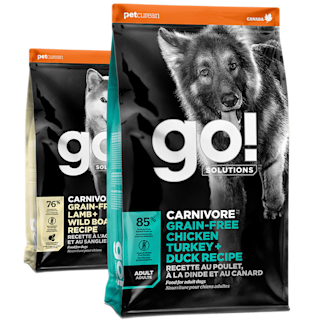 GO-SOLUTIONS-Promo-Carnivore-Dog