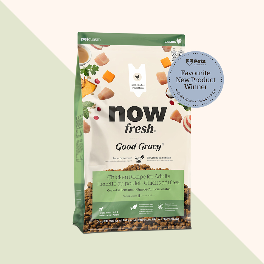 Now Fresh Good Gravy Chicken Recipe for Small Breed Adult Dogs, Pets Canada Favourite New Product 2024