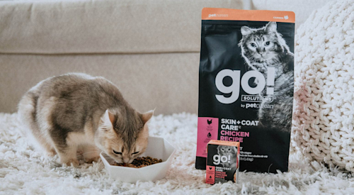 Cat eating kibble from bowl beside GO! SOLUTIONS wet and dry food packaging