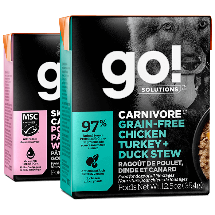Go! Solutions wet food recipes for dogs