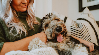 Nf - Blog - Black and White Doodle Dog snuggle with blonde woman