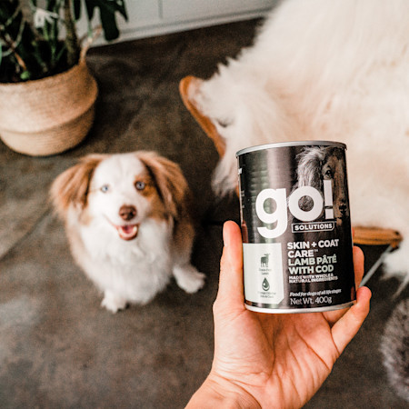 GS Dog S+C Lamb Owner Product Highlight 0620 EU