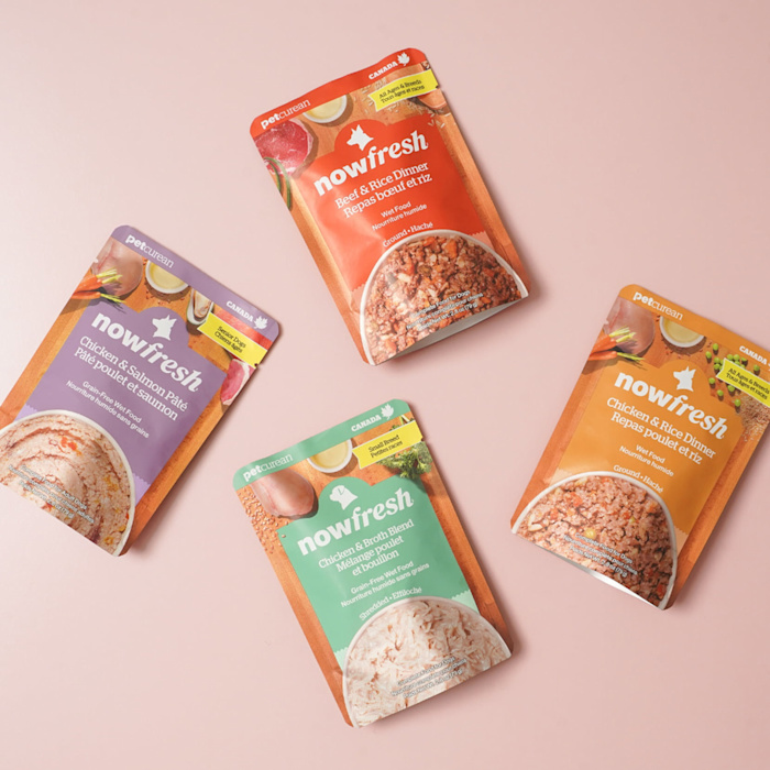 Now Fresh wet dog food pouches