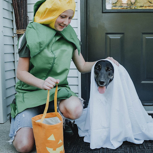Halloween dog in white sheet costume and child in corn costume