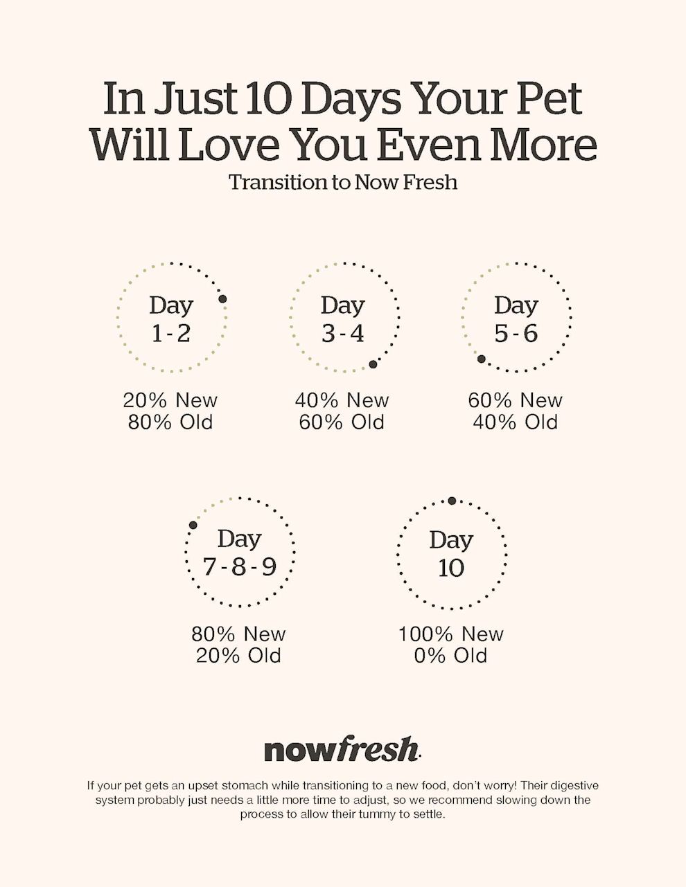 Dog feeding transition guide