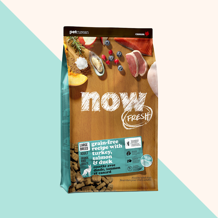 Now Fresh Grain-Free Recipe with Turkey, Salmon & Duck dry food for large breed adult dogs