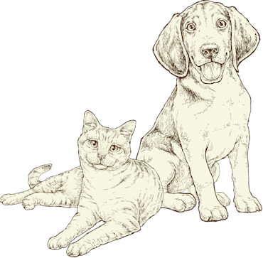 NOW-FRESH-Our-Story-with-dogs-and-cats