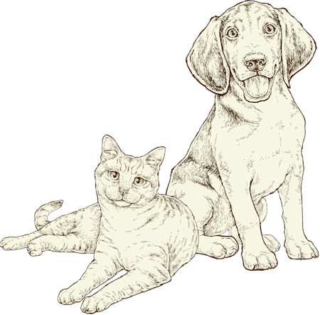Cat and Beagle illustration