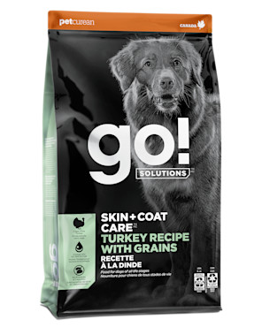 Go! Solutions Skin + Coat Care Turkey Recipe with Grains for dogs