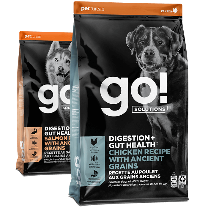Go! Solutions Digestion + Gut Health dog food