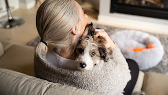 GO-SOLUTIONS-social-puppy-sitting-in-pet-parents-arms-looking-at-camera-in-living-room