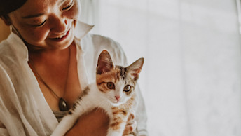 NOW-FRESH-Blog-Calico-kitten-being-held-by-cat-mom