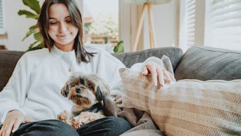 Small Yorkie dog sitting on couch with pet parent