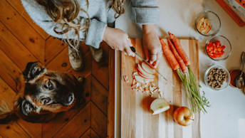 NOW-FRESH-Blog-Dog-and-owner-in-the-kitchen-prepping-food