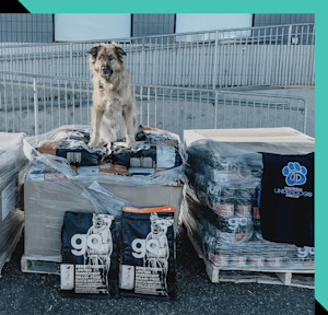 GS-Philosophy-Dog-standing-on-pile-of-kibble-bags