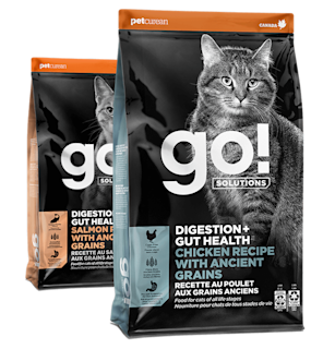 Go! Solutions Digestion + Gut Health kibble for cats