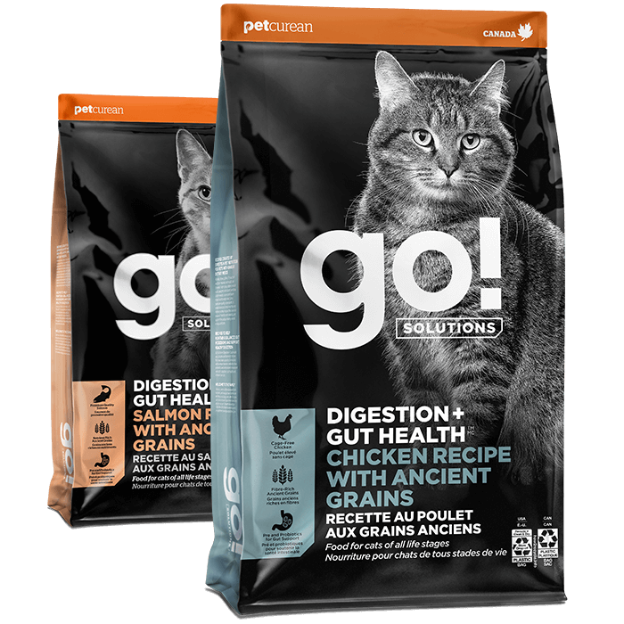 Go! Solutions Digestion + Gut Health kibble for cats