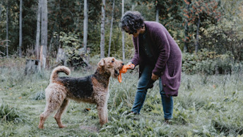 GS - Blog - GS_Dog_Owner_Toy_1021