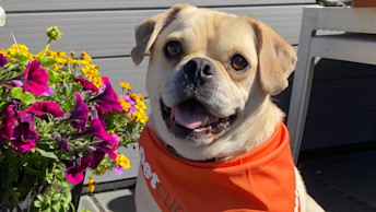 Success Story: a Win for Winston