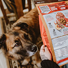 Dog watching owner read back of kibble bag