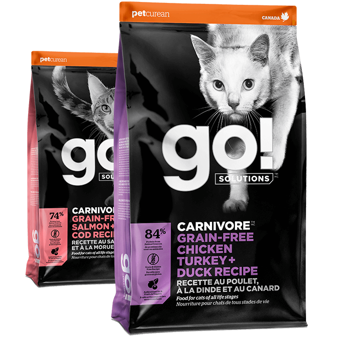 Go! Solutions Carnivore dry food recipes for cats