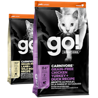 GO-SOLUTIONS-Promo-Carnivore-Cat