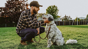 Man kneeling beside dog on leash