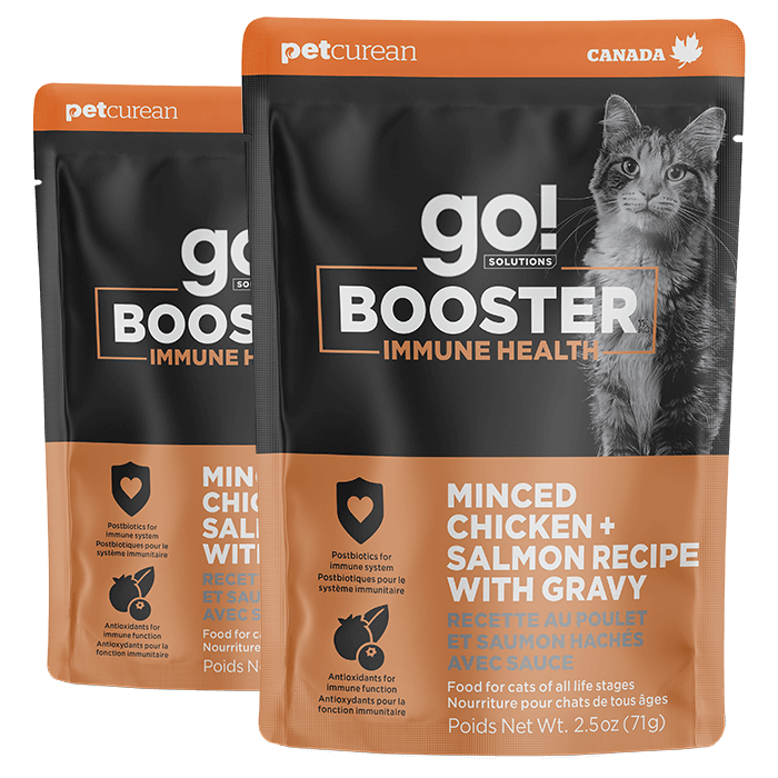 Go! Solutions Booster Immune Health Chicken + Salmon Recipe with Gravy wet cat food
