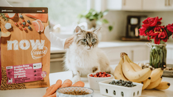 NF - Blog - NF_Cat_Owner_Fresh_Fruit_Veggies_0621