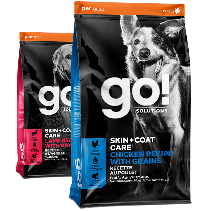 Go! Solutions Skin + Coat Care dry food recipes for dogs