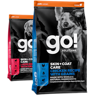 Go! Solutions Skin + Coat Care dry food recipes for dogs